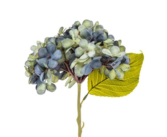 Цветы "Гортензия голубая", изображение 2 ᐒ купить на  ❤ Like7km.com.ua