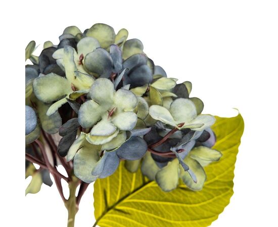 Цветы "Гортензия голубая", изображение 3 ᐒ купить на  ❤ Like7km.com.ua