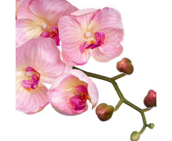 Орхидея нежно розовая 137см, изображение 2 ᐒ купить на  ❤ Like7km.com.ua