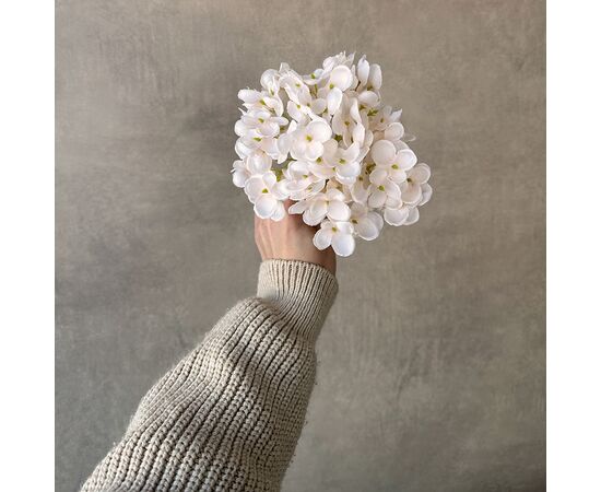 Головка гортензии мелкоцветная, кремовая, 14 см, изображение 4 ᐒ купить на  ❤ Like7km.com.ua