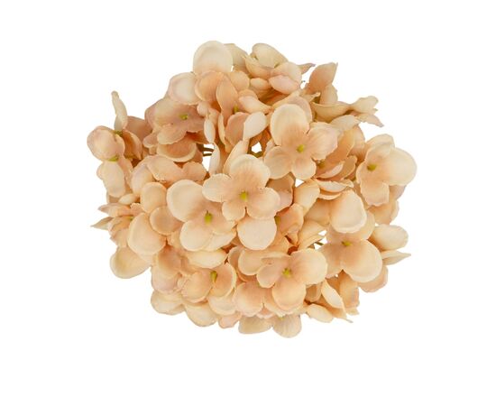 Головка гортензии мелкоцветная, бежевая, 14 см, изображение 2 ᐒ купить на  ❤ Like7km.com.ua