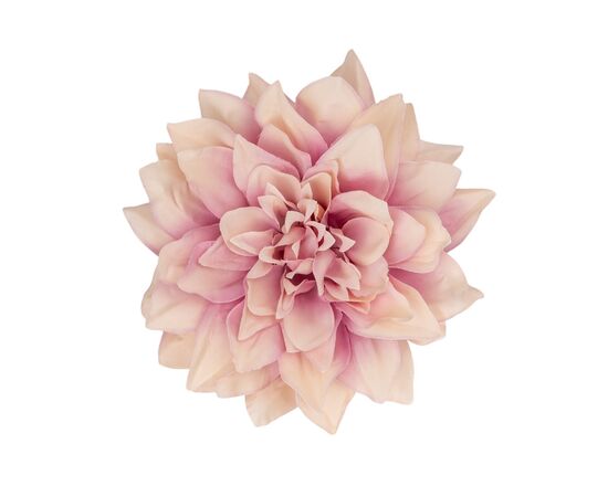 Головка георгина, кремово-лиловая, 15 см, изображение 2 ᐒ купить на  ❤ Like7km.com.ua