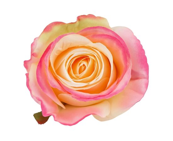 Головка розы, кремово-розовая, 8 см, изображение 3 ᐒ купить на  ❤ Like7km.com.ua