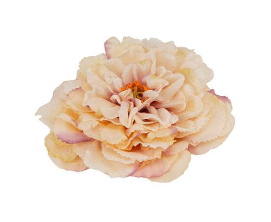 Головка пиона, бежево-сиреневая, 17 см, изображение 3 ᐒ купить на  ❤ Like7km.com.ua