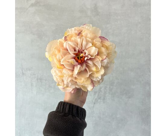 Головка пиона, бежево-сиреневая, 17 см, изображение 5 ᐒ купить на  ❤ Like7km.com.ua