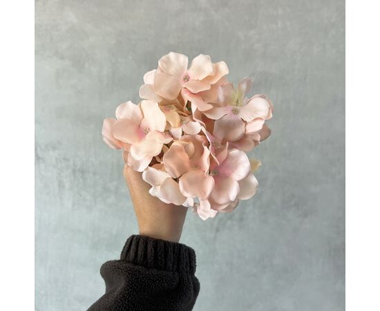 Головка гортензии, персиковая, 13 см, изображение 5 ᐒ купить на  ❤ Like7km.com.ua