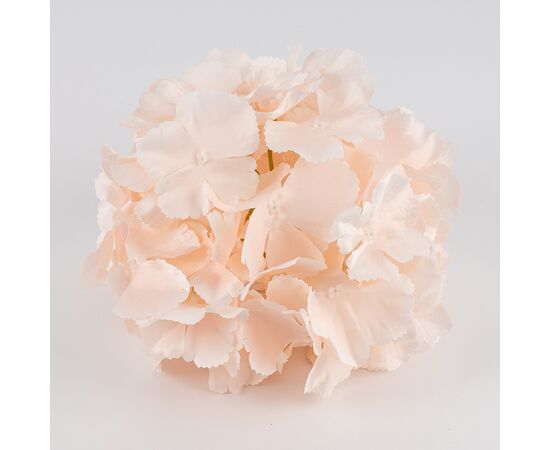 Головка гортензии, нежно-розовая, 20 см, изображение 2 ᐒ купить на  ❤ Like7km.com.ua