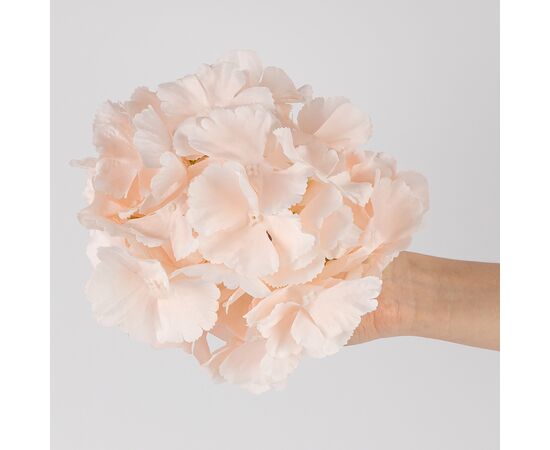 Головка гортензии, нежно-розовая, 20 см, изображение 4 ᐒ купить на  ❤ Like7km.com.ua