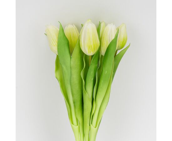 Букет латексных тюльпанов, 7 бутонов, бело-зеленый, 31 см, изображение 2 ᐒ купить на  ❤ Like7km.com.ua