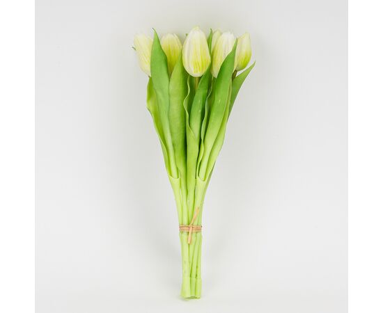 Букет латексных тюльпанов, 7 бутонов, бело-зеленый, 31 см, изображение 4 ᐒ купить на  ❤ Like7km.com.ua