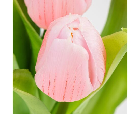 Букет латексных тюльпанов, 7 бутонов, розовый, 31 см, изображение 3 ᐒ купить на  ❤ Like7km.com.ua