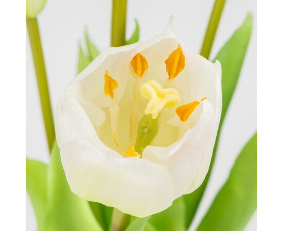 Букет латексных тюльпанов, 5 бутонов, бело-зеленый, 38 см, изображение 3 ᐒ купить на  ❤ Like7km.com.ua