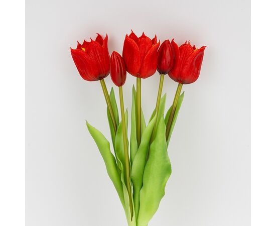 Букет латексных тюльпанов, 5 бутонов, красный, 38 см, изображение 2 ᐒ купить на  ❤ Like7km.com.ua