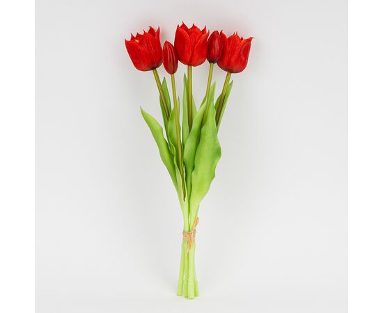 Букет латексных тюльпанов, 5 бутонов, красный, 38 см, изображение 4 ᐒ купить на  ❤ Like7km.com.ua