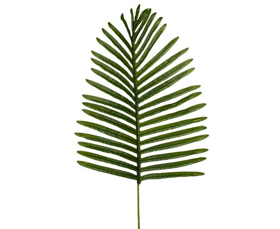 Лист "Пальма", изображение 2 ᐒ купить на  ❤ Like7km.com.ua