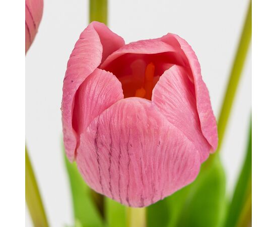 Букет латексных тюльпанов, 7 бутонов, розовый, 48 см, изображение 3 ᐒ купить на  ❤ Like7km.com.ua