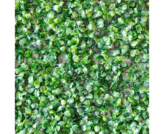 Искусственный фитомодуль "Самшит", 60*41 см СПАСЕННАЯ ПОЗИЦИЯ, изображение 5 ᐒ купить на  ❤ Like7km.com.ua