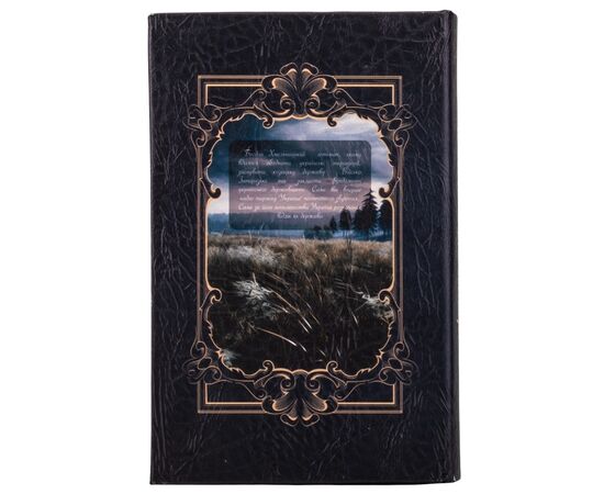 Книга-сейф "Богдан Хмельницкий", изображение 3 ᐒ купить на  ❤ Like7km.com.ua