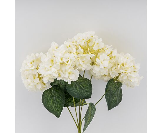 Букет гортензий, 5 бутонов, белый, 44 см, изображение 3 ᐒ купить на  ❤ Like7km.com.ua