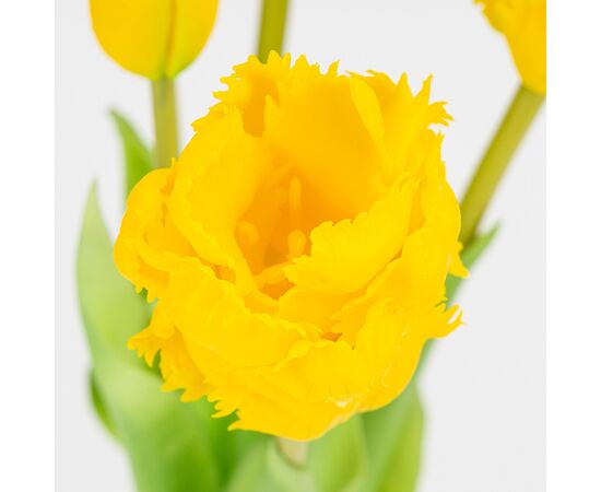 Букет латексных тюльпанов, 5 бутонов, желтый, 44 см, изображение 3 ᐒ купить на  ❤ Like7km.com.ua