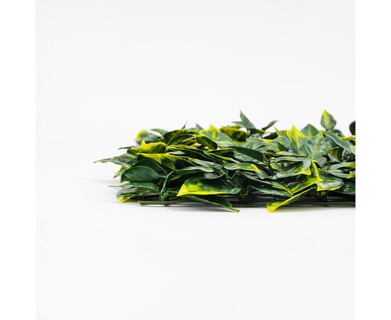 Фитомодуль искусственный "Тропическая лиана", 40*60 cм, изображение 4 ᐒ купить на  ❤ Like7km.com.ua