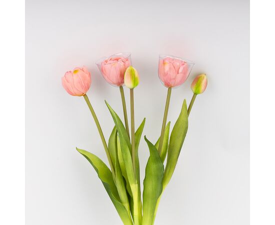 Букет тюльпанов, 5 бутонов, розовый, 39 см, изображение 3 ᐒ купить на  ❤ Like7km.com.ua