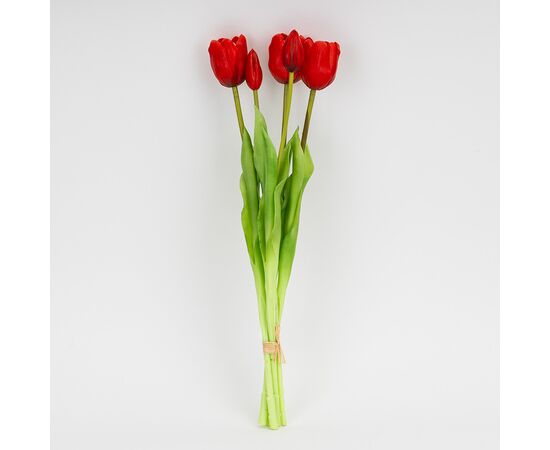 Букет латексных тюльпанов, 5 бутонов, красный, 45 см, изображение 4 ᐒ купить на  ❤ Like7km.com.ua