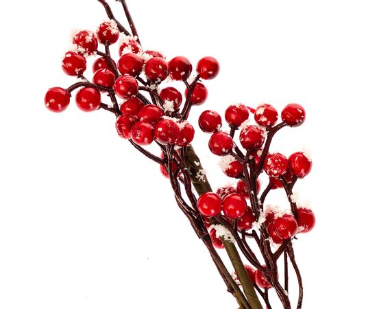 Декоративная ветвь "Лесные ягодки", изображение 3 ᐒ купить на  ❤ Like7km.com.ua