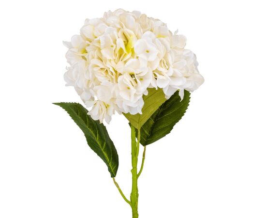 Гортензия "Анабель", кремовая, 57 см, изображение 2 ᐒ купить на  ❤ Like7km.com.ua