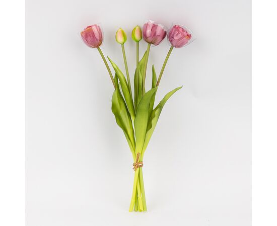 Букет тюльпанов, 5 бутонов, пудровый, 39 см, изображение 2 ᐒ купить на  ❤ Like7km.com.ua