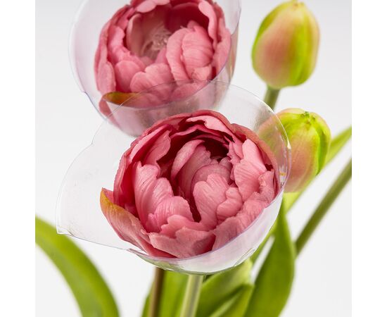 Букет тюльпанов, 5 бутонов, пудровый, 39 см, изображение 4 ᐒ купить на  ❤ Like7km.com.ua
