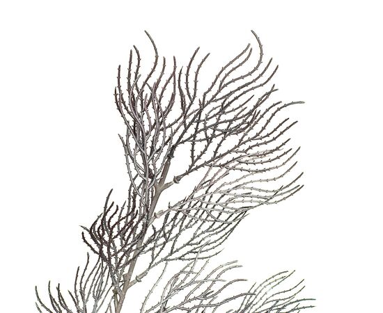 Ветка ивы волнистая темно-серая искусственная, изображение 2 ᐒ купить на  ❤ Like7km.com.ua