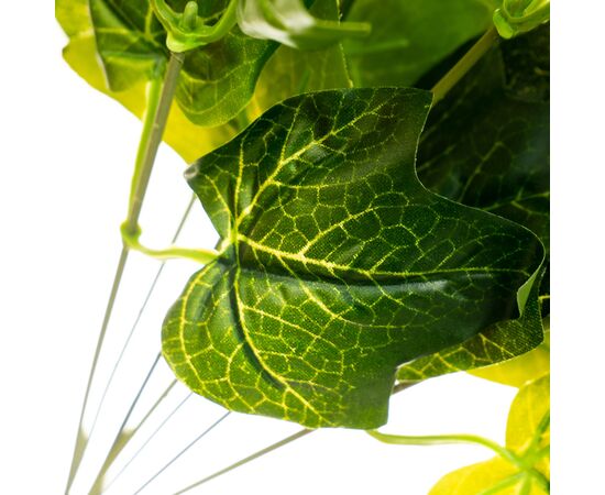 Ветка вьюнка, изображение 2 ᐒ купить на  ❤ Like7km.com.ua