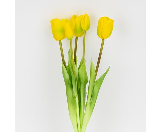 Букет латексных тюльпанов, 5 бутонов, желто-зеленый, 45 см, изображение 2 ᐒ купить на  ❤ Like7km.com.ua
