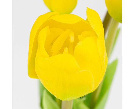 Букет латексных тюльпанов, 5 бутонов, желто-зеленый, 45 см, изображение 3 ᐒ купить на  ❤ Like7km.com.ua