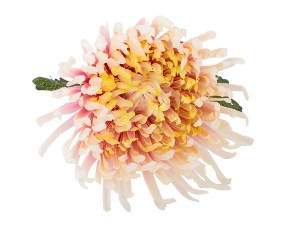 Хризантема "Вдохновение", кремово-розовая, 82 см, изображение 2 ᐒ купить на  ❤ Like7km.com.ua