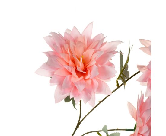 Хризантема, розовая, изображение 2 ᐒ купить на  ❤ Like7km.com.ua