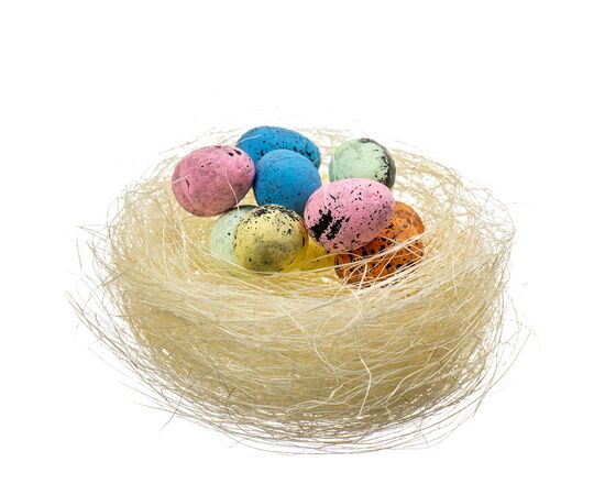 Декоративное гнездо *рандомный выбор дизайна, изображение 2 ᐒ купить на  ❤ Like7km.com.ua