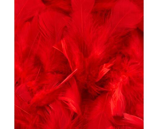 Декоративные перья, черные YOO-HOO!, изображение 2 ᐒ купить на  ❤ Like7km.com.ua