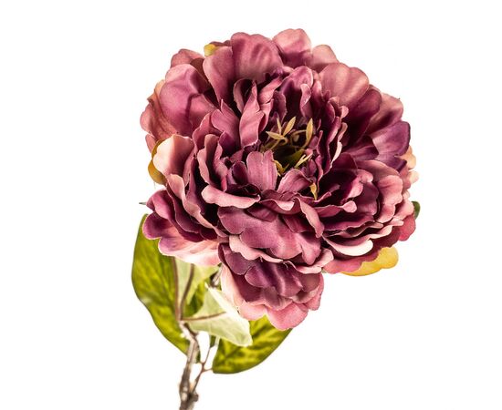 Цветок искусственный "Пионовидная роза бордо", изображение 2 ᐒ купить на  ❤ Like7km.com.ua