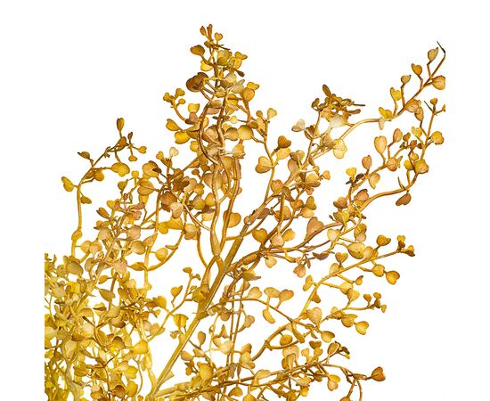 Куст пастушьей сумки желто-золотой искусственный, изображение 2 ᐒ купить на  ❤ Like7km.com.ua