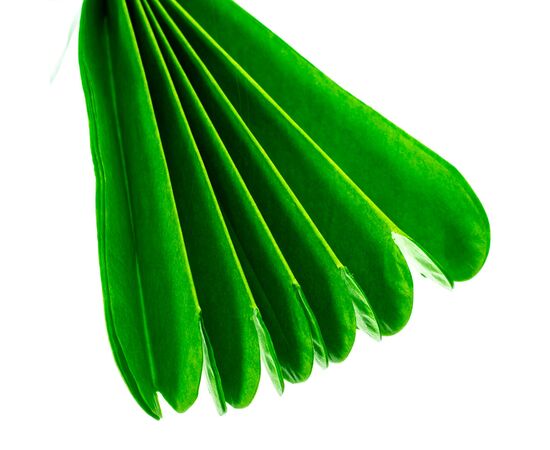 Бумажный пом-пон, зеленый 25 см., изображение 2 ᐒ купить на  ❤ Like7km.com.ua