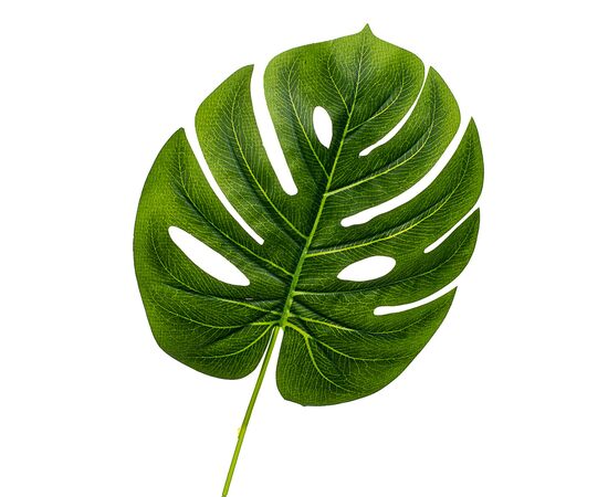 Лист монстеры  желто-зеленый искусственный, изображение 2 ᐒ купить на  ❤ Like7km.com.ua