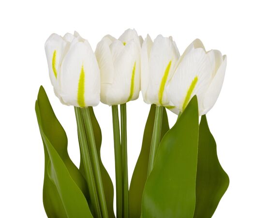 Букет тюльпанов "Красочность", белый, 40 см, изображение 2 ᐒ купить на  ❤ Like7km.com.ua