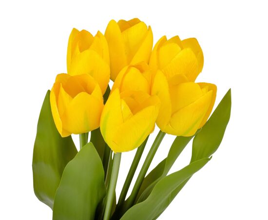 Букет тюльпанов "Красочность", желтый, 40 см, изображение 2 ᐒ купить на  ❤ Like7km.com.ua