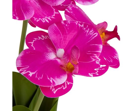 Букет орхидей, розовый, изображение 2 ᐒ купить на  ❤ Like7km.com.ua