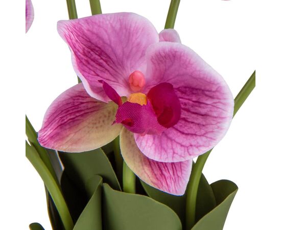 Букет орхидей, розовый, изображение 2 ᐒ купить на  ❤ Like7km.com.ua