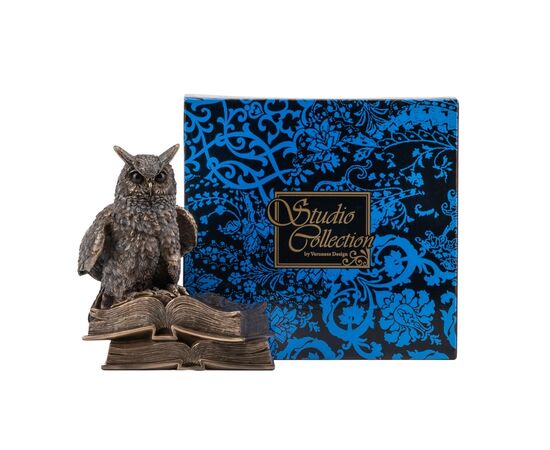 Статуетка "Сова" (17 см) VERONESE, изображение 2 ᐒ купить на  ❤ Like7km.com.ua