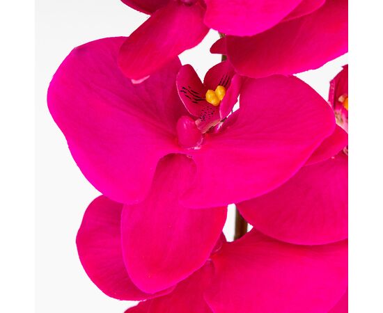 Латексная орхидея, ярко-розовая, 86 см СПАСЕННАЯ ПОЗИЦИЯ, изображение 3 ᐒ купить на  ❤ Like7km.com.ua