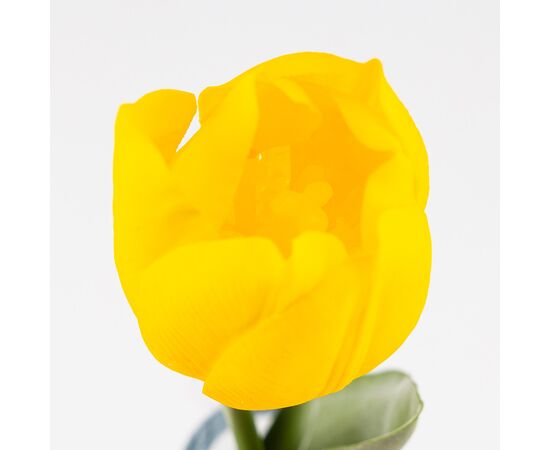 Искусственный тюльпан с эффектом живого прикосновения, желтый, 45 см, изображение 3 ᐒ купить на  ❤ Like7km.com.ua